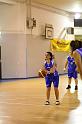 Basket 242051